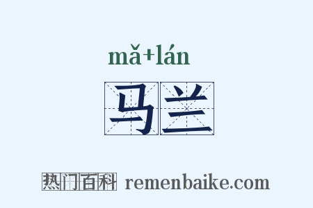 马兰是什么意思的图片